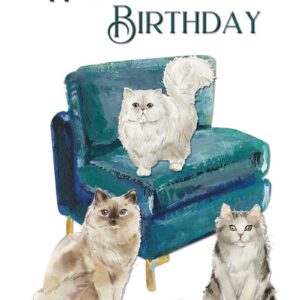 3 Cats Birthday card