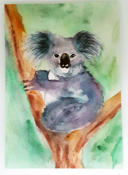 Australian Animals Magnet Set with Cuddly Koala Print - Image 2