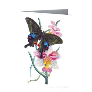 Butterfly and Orchid Vintage Greeting Card