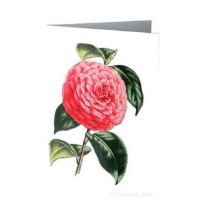 Camellia Vintage Greeting Card