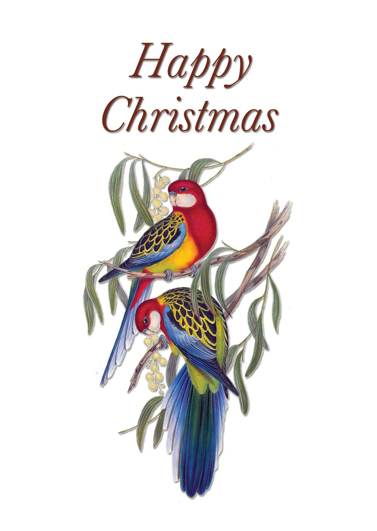 Eastern Rosellas by Elizabeth Gould Vintage birds Happy Christmas card designed by Creatively Belle