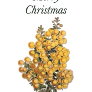 Say Merry Christmas with this vintage botanical wattle greeting card designed by Creatively Belle