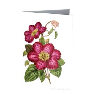 Clematis Vintage Greeting Card