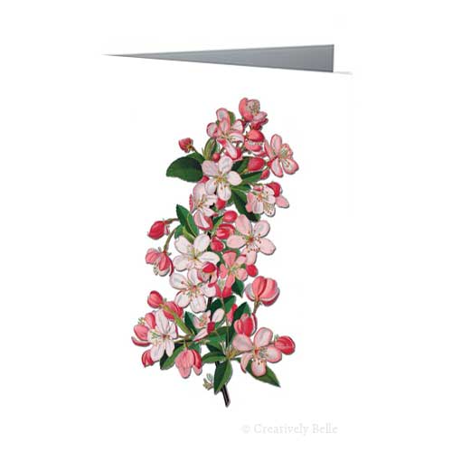 Crab Apple Blossom Vintage Greeting Card