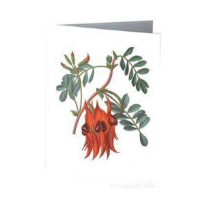 Sturt's Desert Pea Australian Wildflowers Vintage Botanical Greeting Card