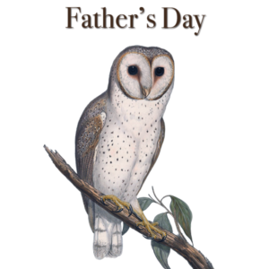 Father's Day Eastern Barn Owl by Elizabeth Gould vintage bird art greeting card