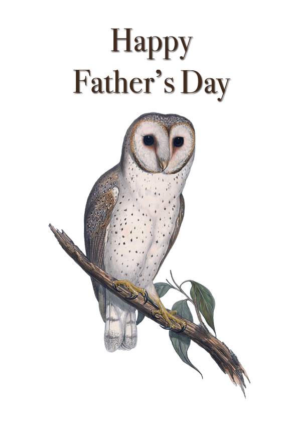 Father's Day Eastern Barn Owl by Elizabeth Gould vintage bird art greeting card