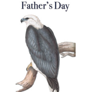 Father's Day Sea Eagle by Elizabeth Gould vintage bird art greeting card