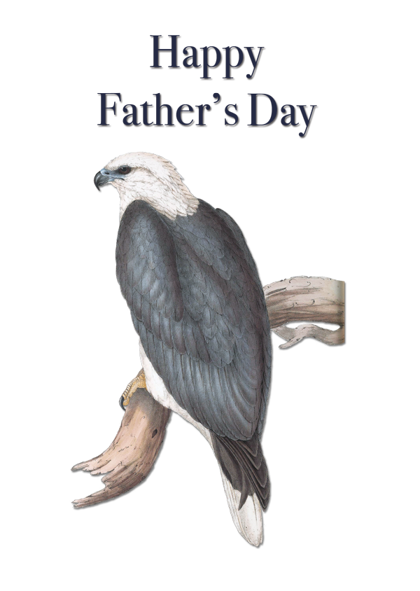 Father's Day Sea Eagle by Elizabeth Gould vintage bird art greeting card