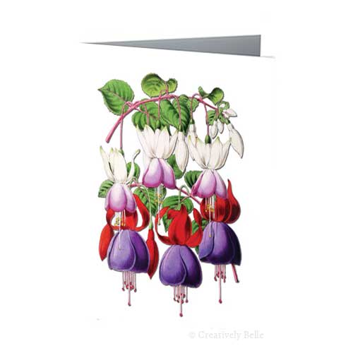 Fuchsias Vintage Greeting Card