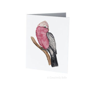 Country Cousin Galah Watercolour by Belinda Stinson of Creatively Belle
