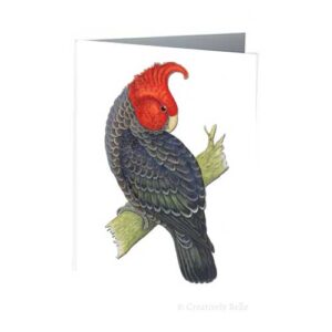 Gang Gang Cockatoo Vintage Bird Greeting Card