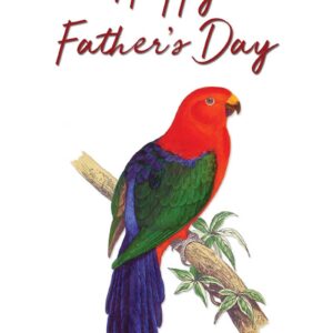 Father's Day King Parrot vintage bird art greeting card