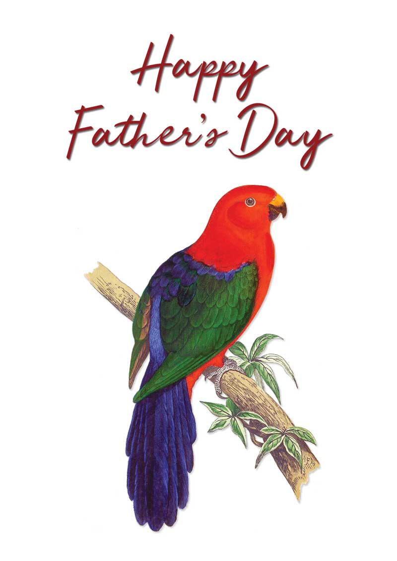 Father's Day King Parrot vintage bird art greeting card