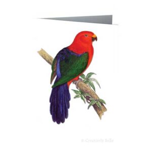King Parrot Vintage Bird Greeting Card
