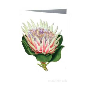 King Protea Australian Wildflowers Vintage Botanical Greeting Card