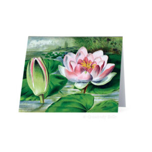 Lotus Garden Vintage Greeting Card