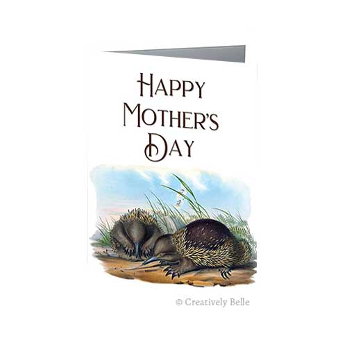 Say Happy Mother's Day with this beautiful vintage Australian Wildlife Echidnas greeting card
