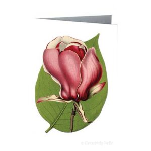 Magnolia and Leaf Vintage Greeting Card