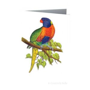 Rainbow Lorikeet Vintage Bird Greeting Card