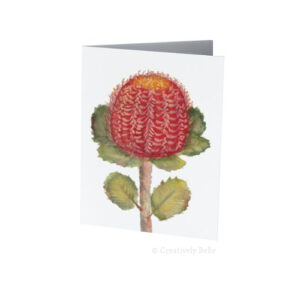 Banksia Coccinea Wildflower Greeting Card