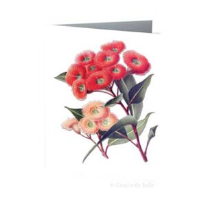 Flowering Red Gum Australian Wildflowers Vintage Botanical Greeting Card