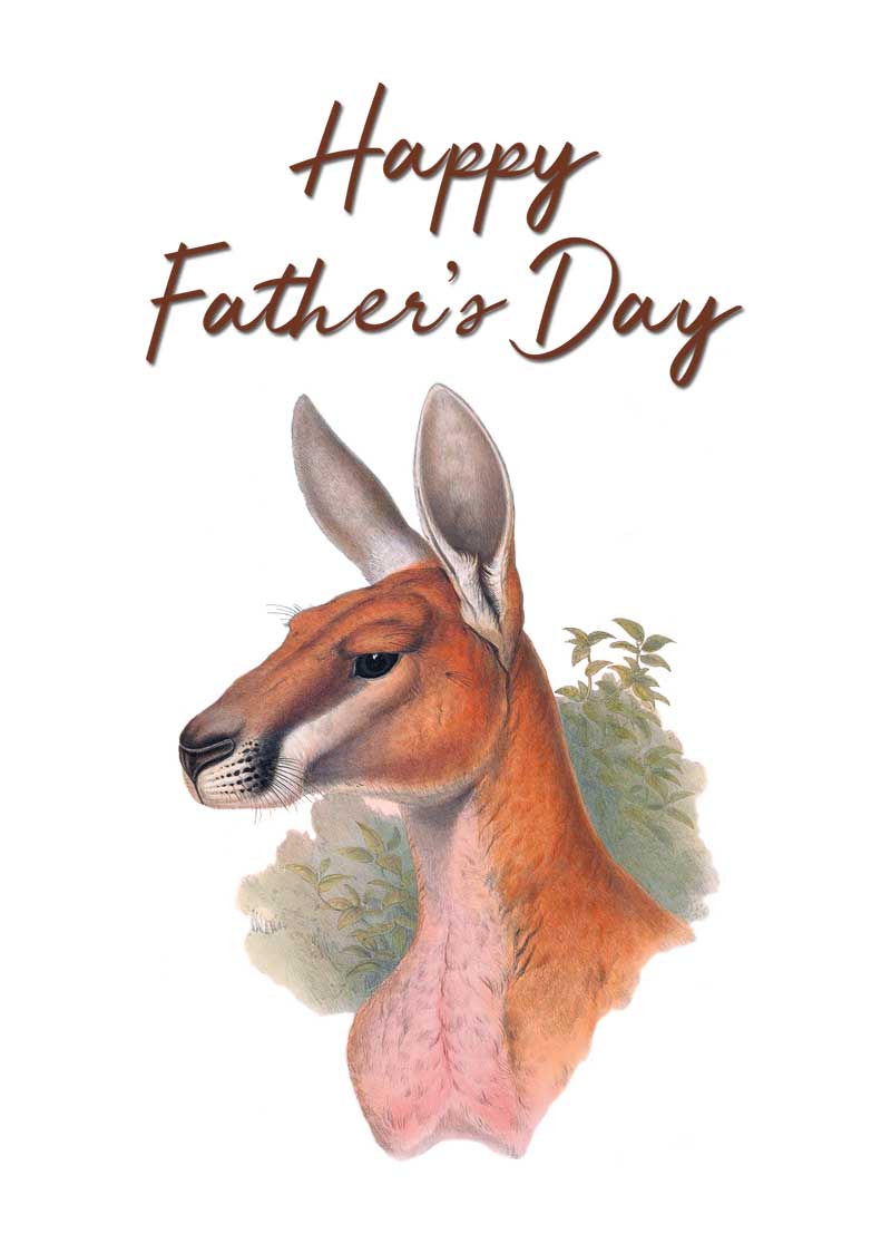 Father's Day red Kangaroo by John Gould vintage bird art greeting card