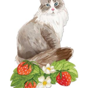 Strawberry fields cat greeting card