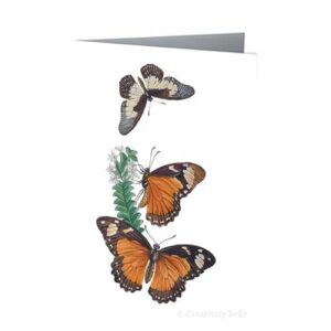 Three Butterflies Vintage Greeting Card