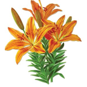 Tiger Lilies vintage botanical floral art greeting card