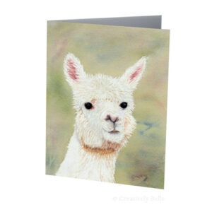 Original Alpaca watercolour painting by Belinda Stinson of Creatively Belle