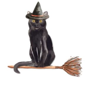 The flying witch's cat greeting card