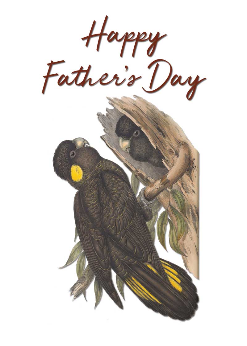 Father's Day Black Cockatoos by Elizabeth Gould vintage bird art greeting card